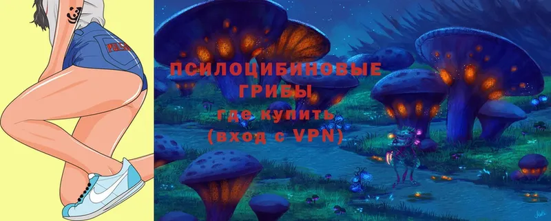 Галлюциногенные грибы Magic Shrooms  как найти закладки  Городовиковск 